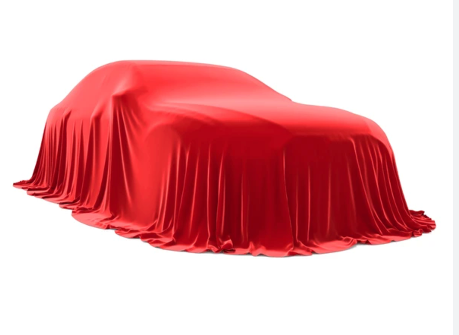 Trunk Mat only custom order
